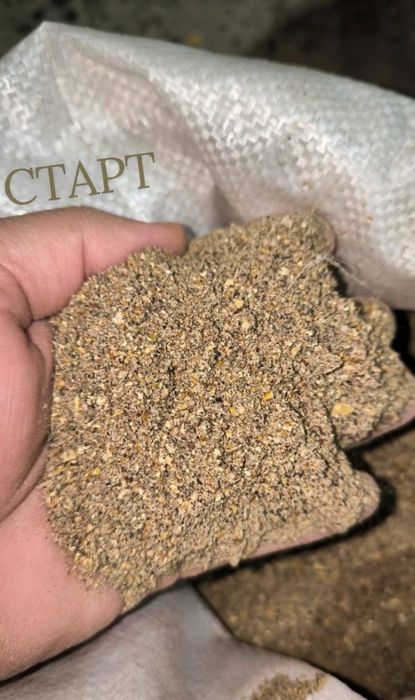Комбикорм для перепёлов старт(россыпь)