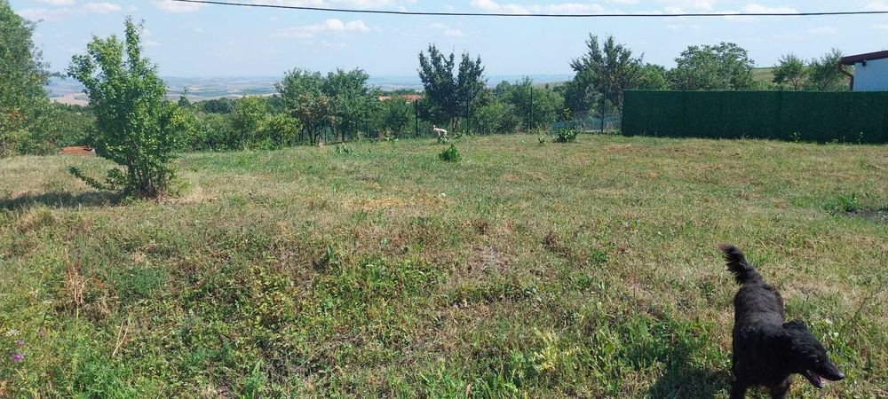 Teren intravilan 1163 mp | Aiton, Cluj | CF + CU | Priveliște panoramică | 18 km Cluj