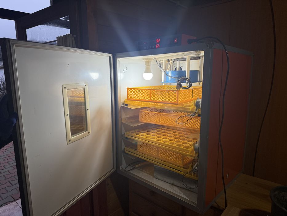 Vand incubator profesional