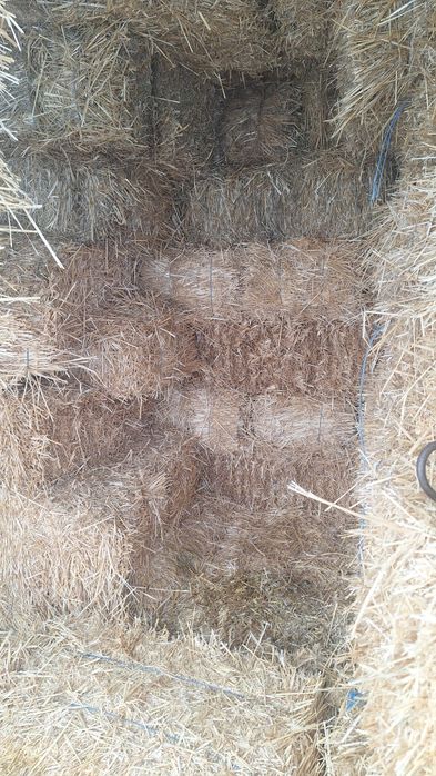 Baloț de paie de vânzare