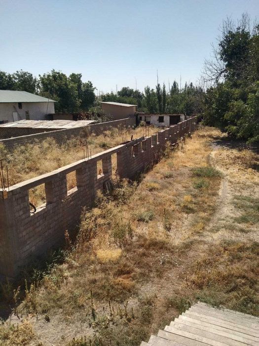 Ферма недалеко от Ташкента