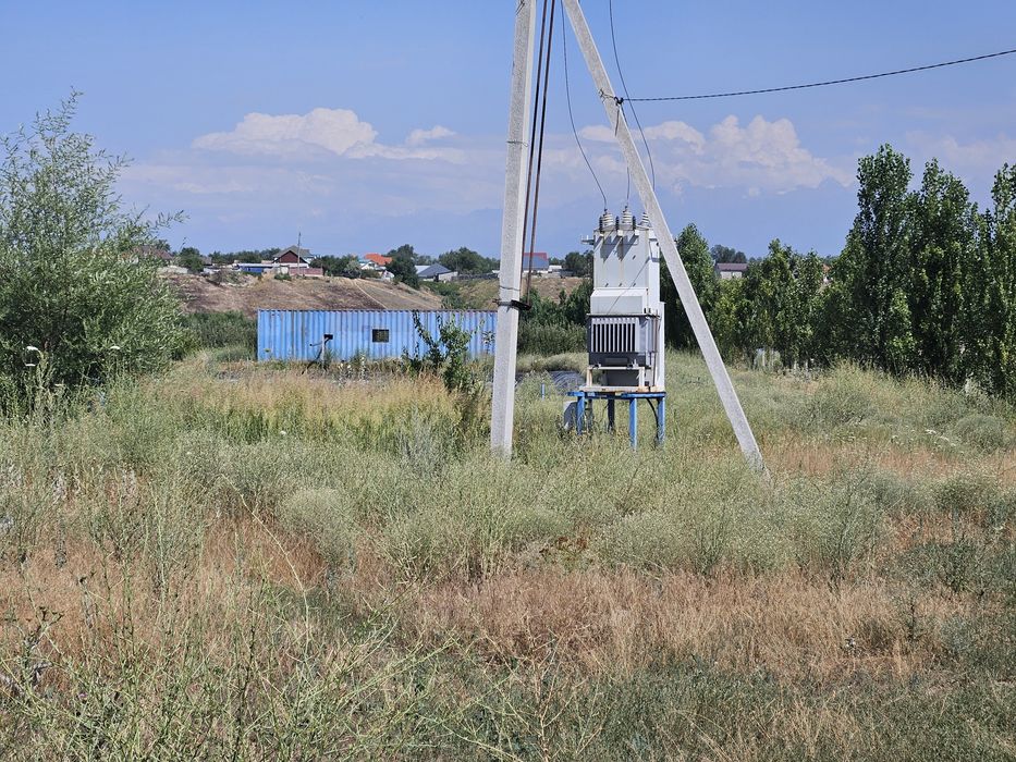 Продаётся яблоневый сад!