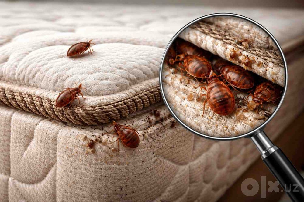 klopa ga qarshi dezinfeksiya / kana burga klesh / дезинфекция от клопы