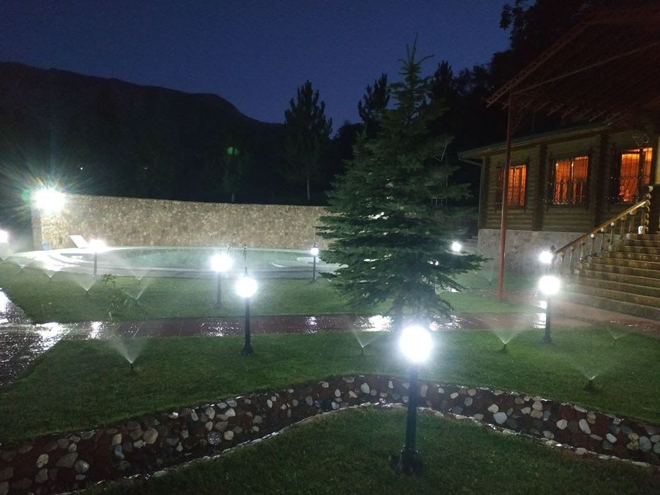 Дача в Чимгане природа