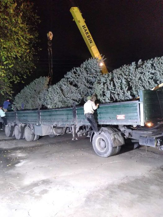 Шаланда хизмати Тошкент шахар ва Тошкент вилоятларда