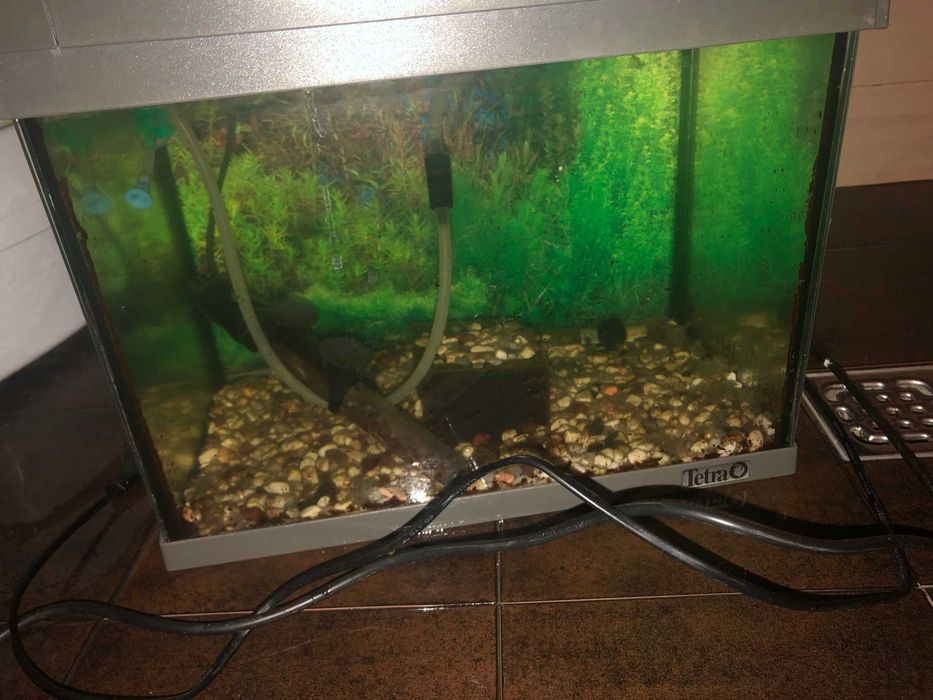Аквариум TETRA и RS Electrical