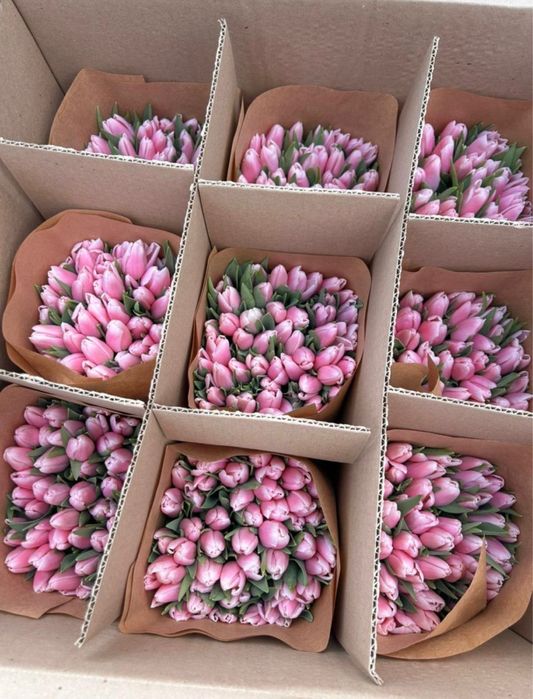 Тюльпаны оптом и в розницу