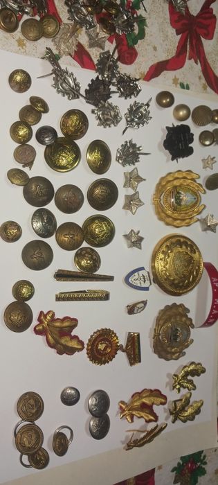 Lot nasturi,insigne,decoratii militare