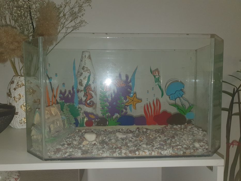 Аквариум на 30 литров