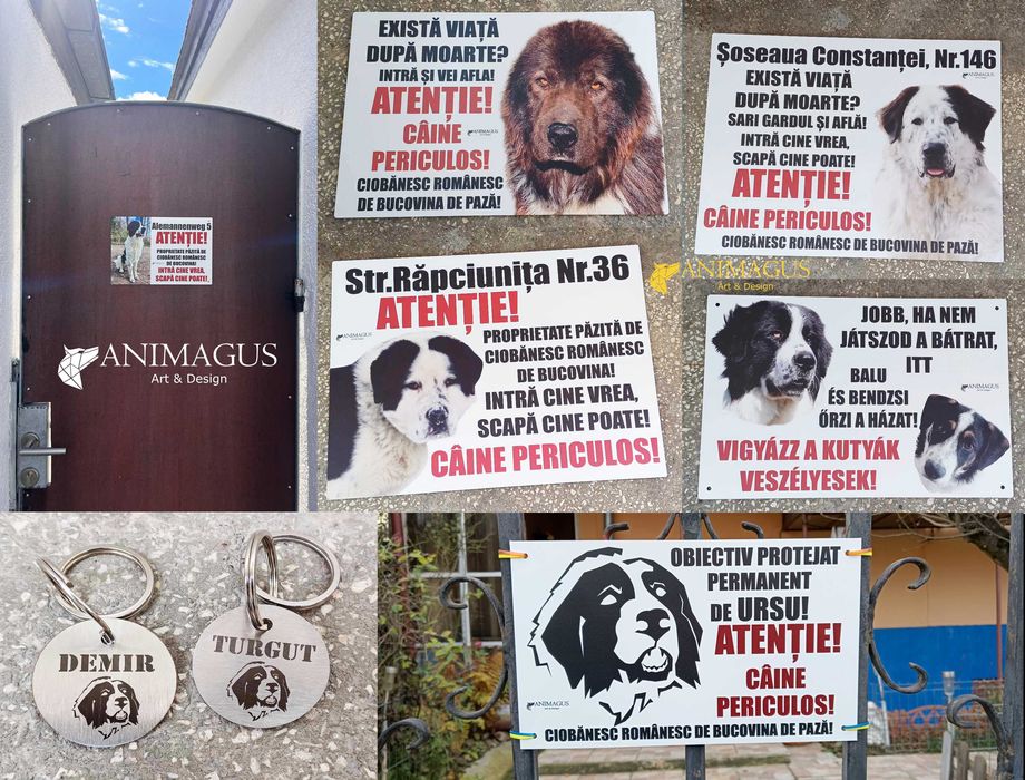 Placa Avertizare Caine Rau Periculos Ciobanesc de Bucovina