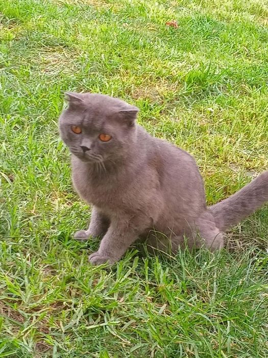 Idycdwive7hw77w8hw7hw