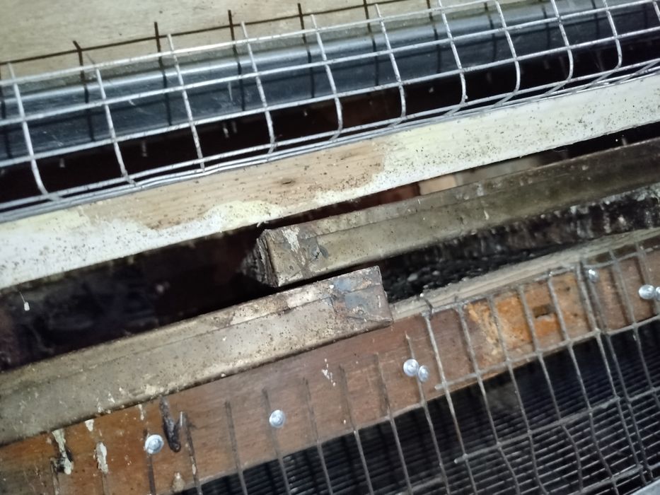 Клетка для перепелок