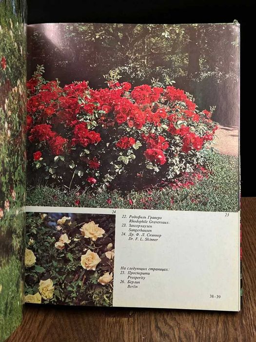Букинистическая книга Розарий главного Ботан.сада Академии наук СССР.