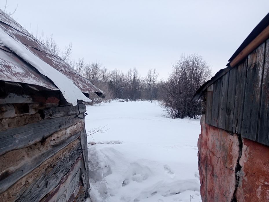 Небольшой Дом на Ботанике