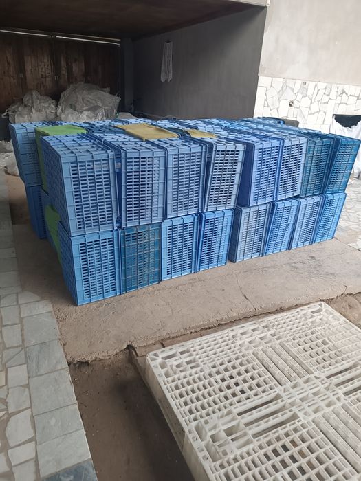 Tara yashik bor xar xil razmirda plasmasa