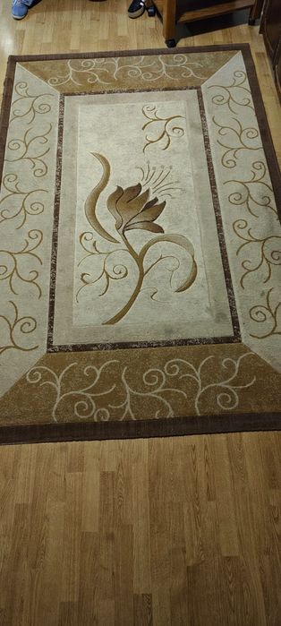 Covor, necesită curățare 260/160