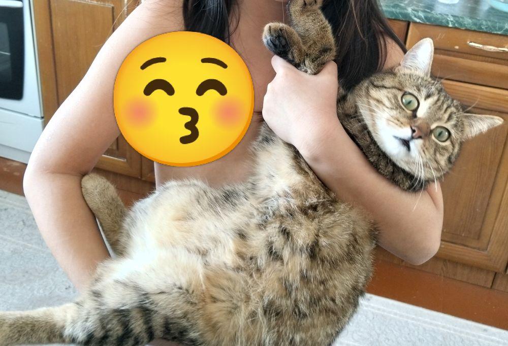 Отдам кошку в добрые руки