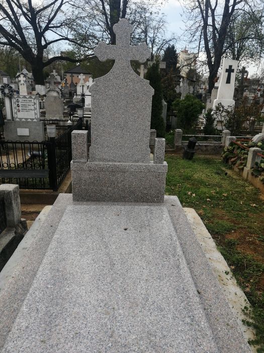 Loc de veci Viisoara