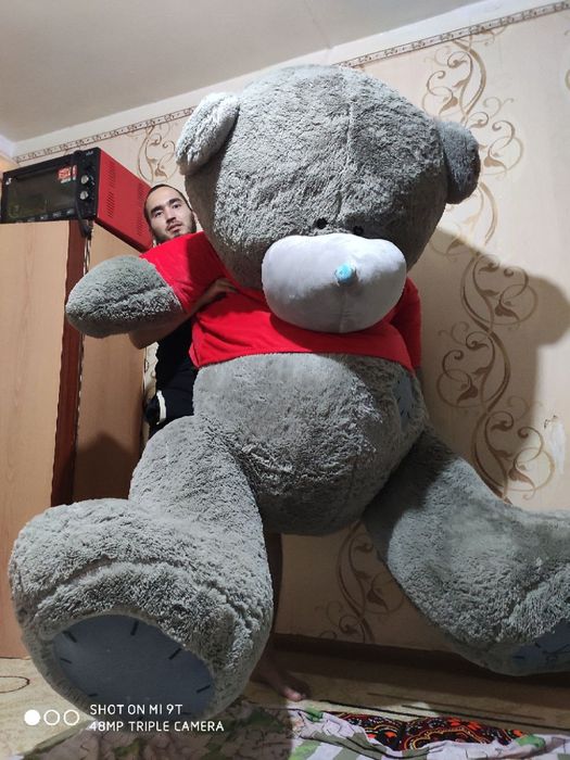 Teddi 1+1 Teddy Aksiya Eng Arzon Narxda