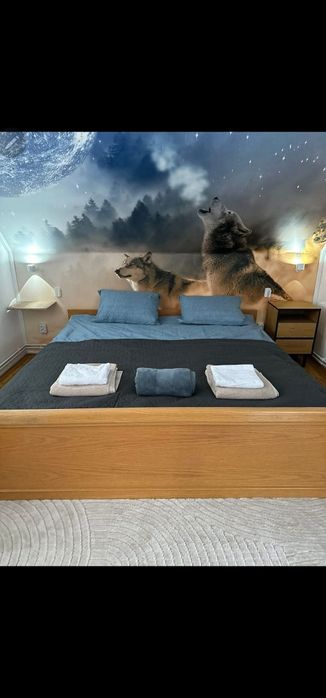 Cabana de închiriat cu piscină încălzită și ciubăr cu jacuzzi