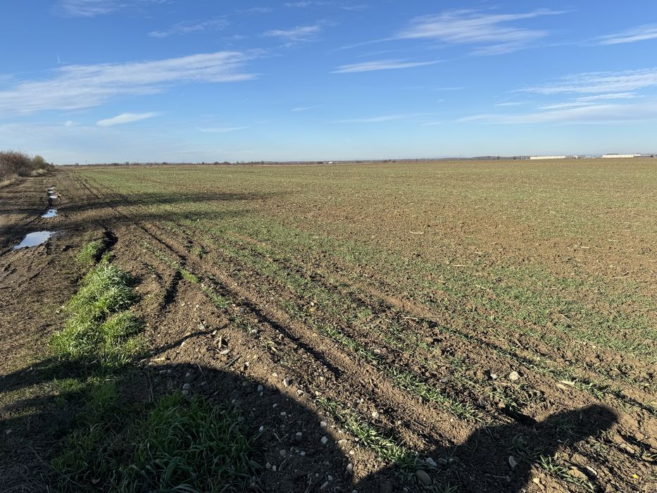 Teren 7.500 mp Dragomiresti-Vale, jud. Ilfov