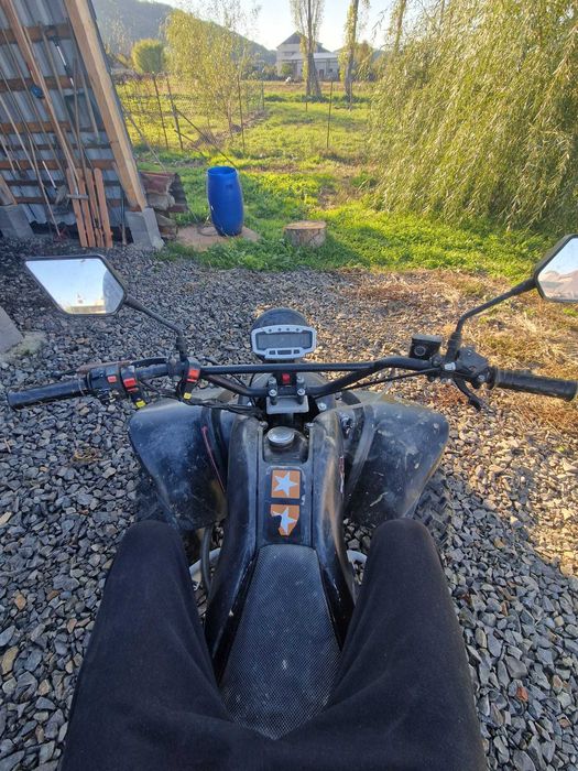 Vand atv 250 manual