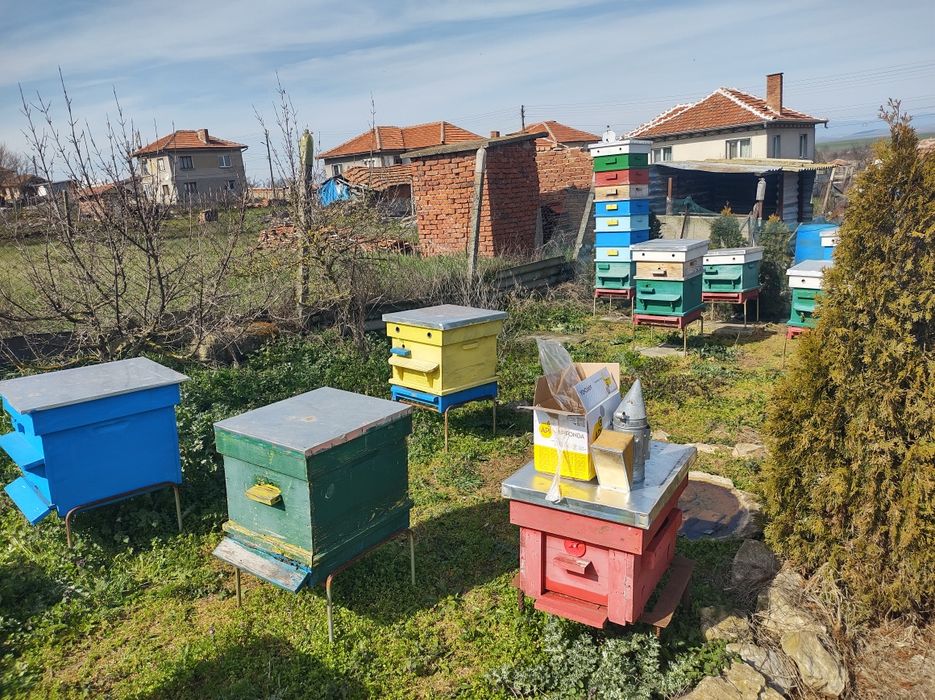 Продавам пчелни семейства