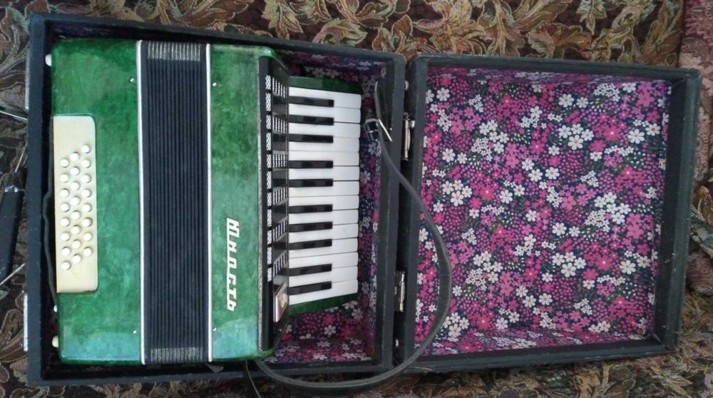 Акордеон Юнисть .