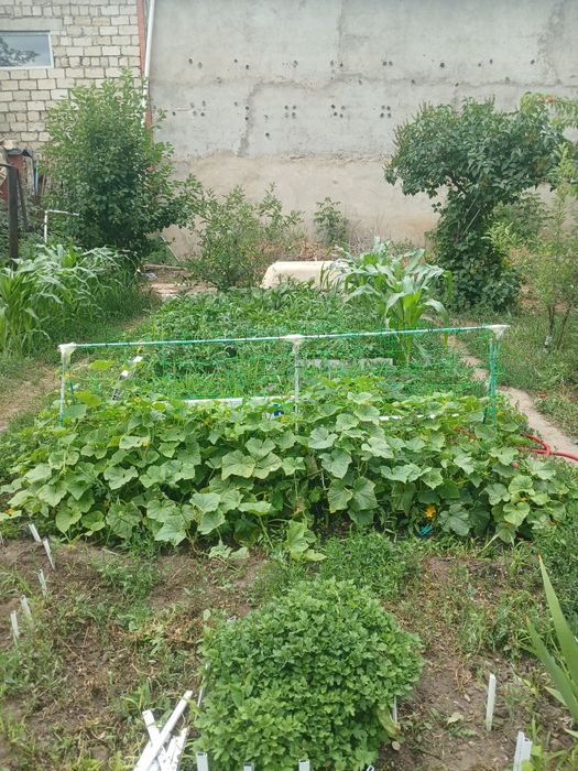 Продам 3 ком. Кв.