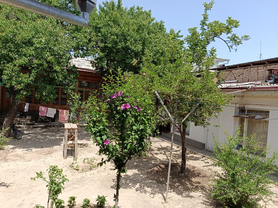 Biznes yoki katta hovli uchun ideal uy sotiladi