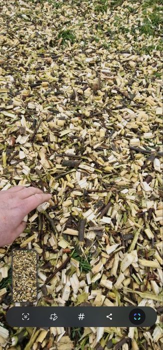 Tocator cregi/vegetatie