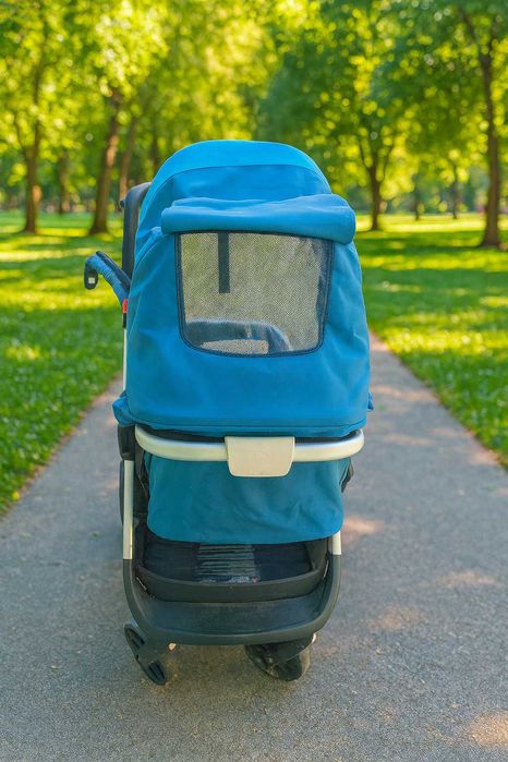 Carucior Quantum Diono Quantum 0-4ani