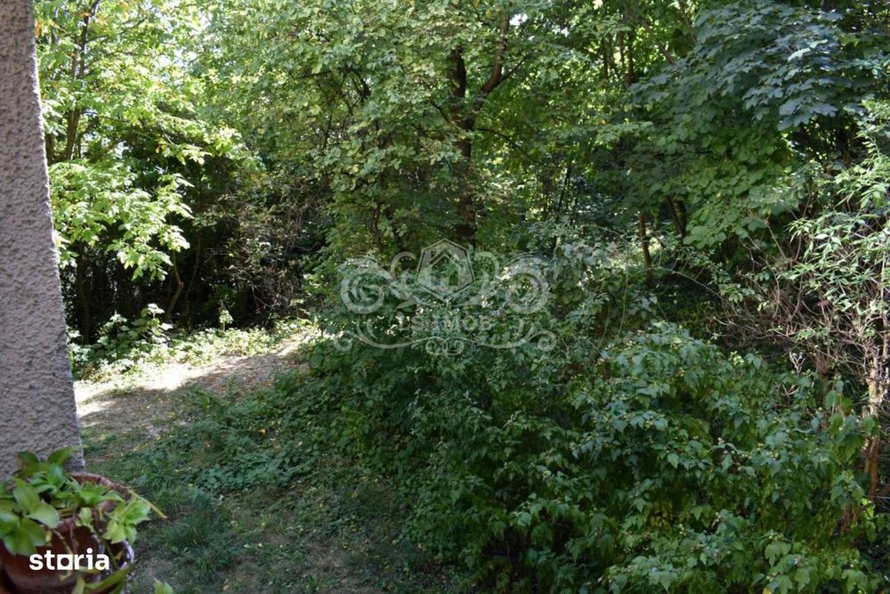 Apartament 2 camere , terasa si gradina, Centru de vanzare