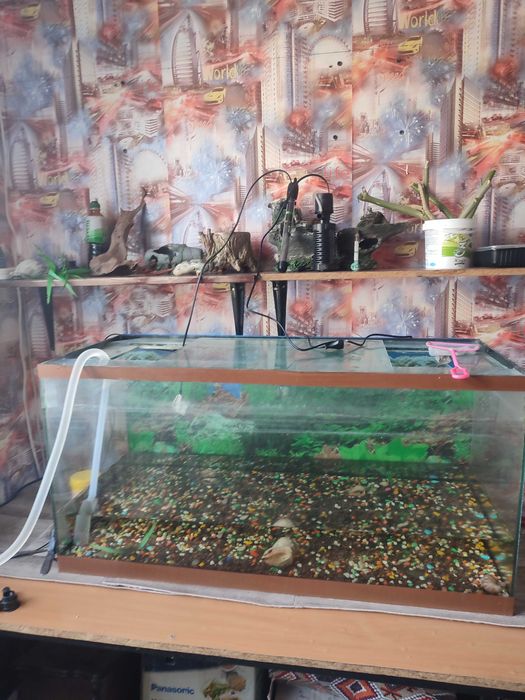 Продам аквариум 200 литров