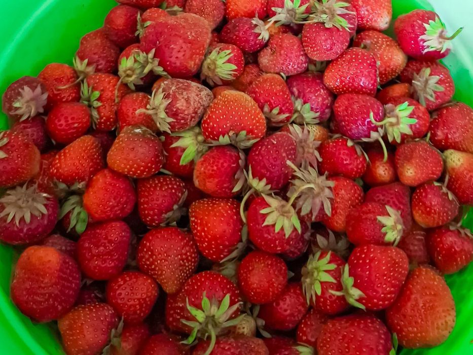 Продам сладкую клубнику
