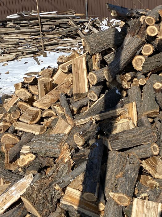 Продам Дрова Карагачь