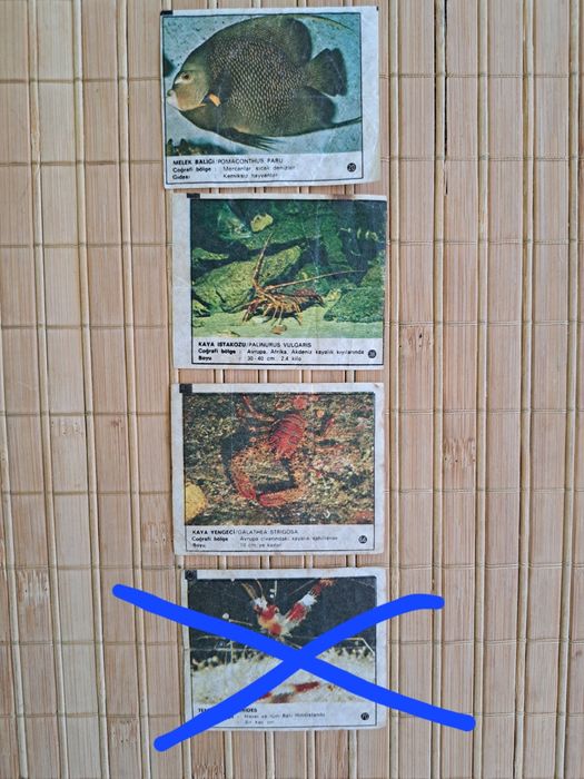 Картинки от дъвки