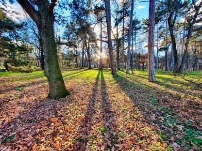 Продава се Тристаен апартамент в София, Разсадника - 113 кв.м за 2124 €/кв.м - Снимка #12