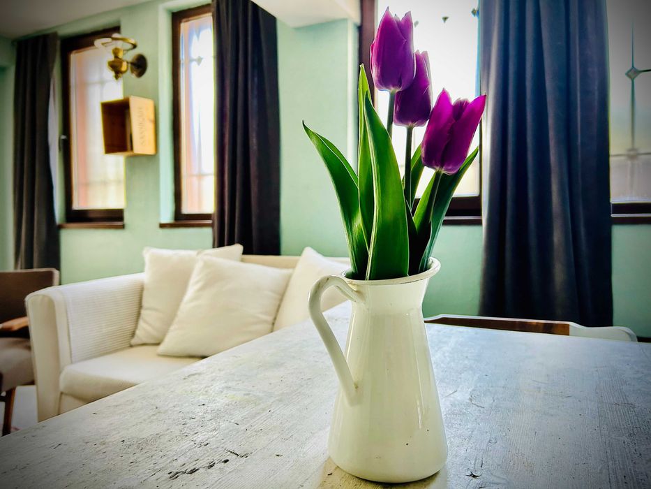 Уютно място за работилници, работни срещи и филмови продукции