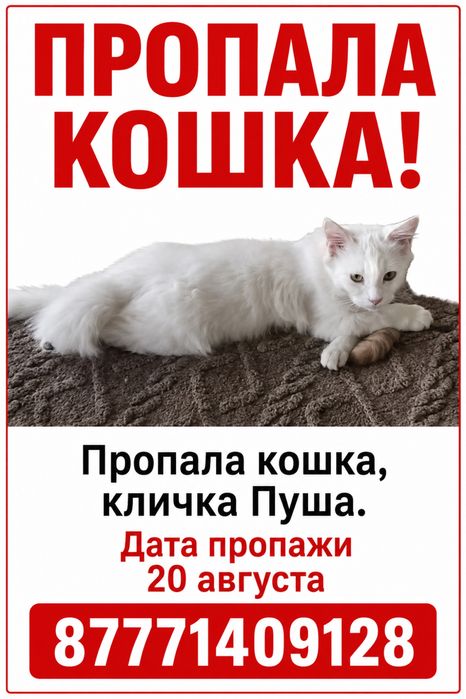 Пропала кошка нижняя пятилетка
