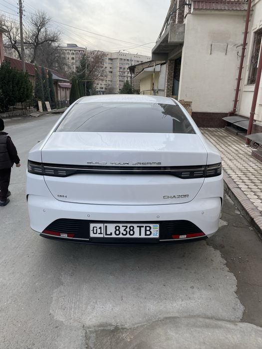 BYD Chazor 120 km full