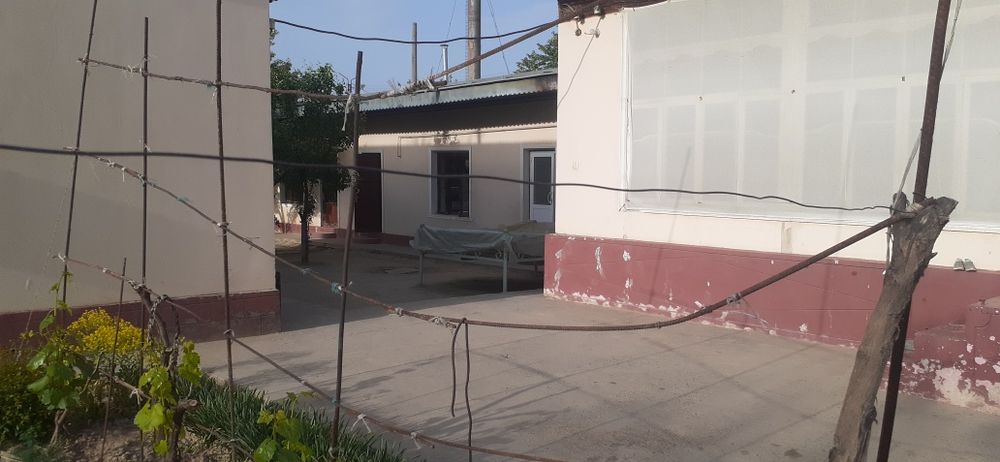 Тошкент вилояти, Зангиота туманида 18 сотихли ховли жой сотилвоти