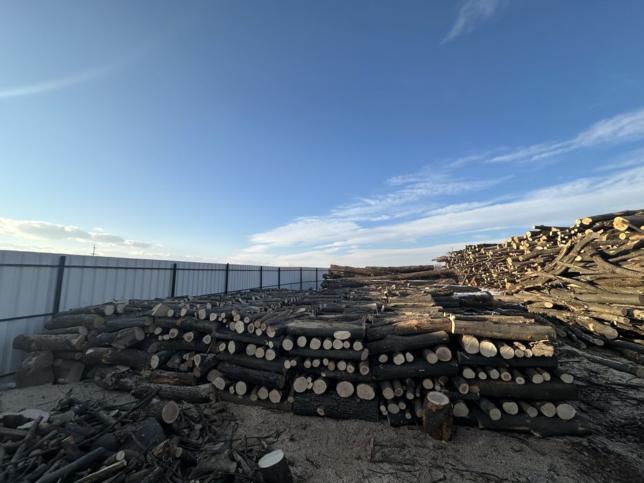 Lemn de foc,bustean,laturoaie