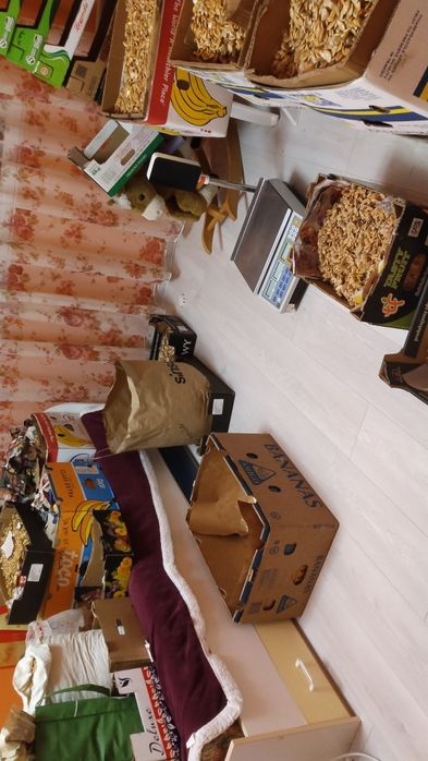 Продавам семена за посев отсладки български тикви кестени и сладки циг