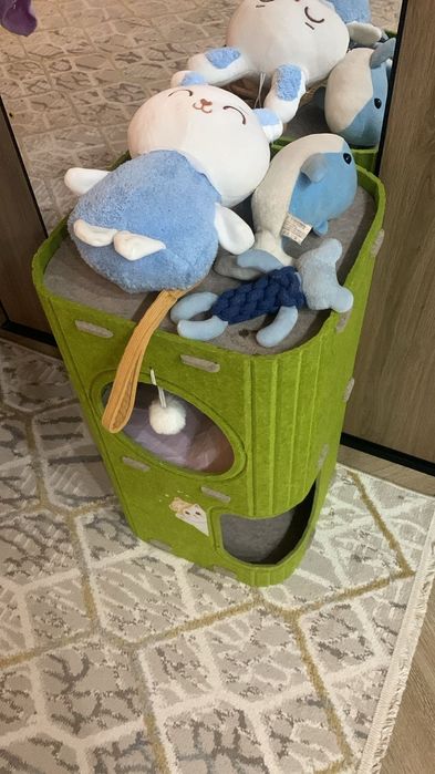 Кошка мальчик 4месяца