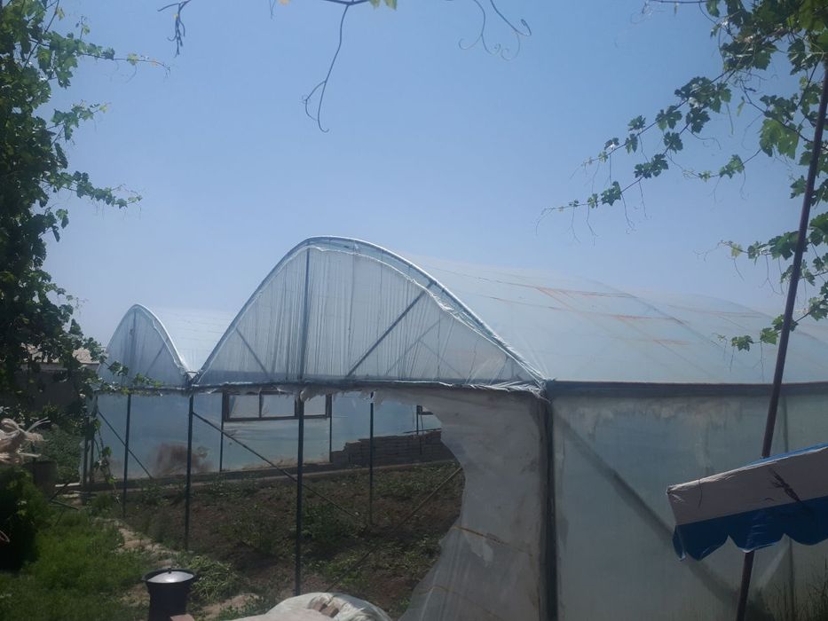 Парник сотилади Мустахкам бакувват.