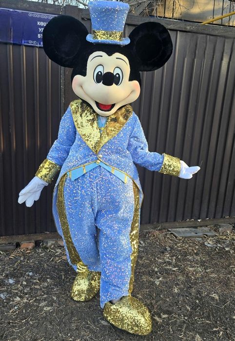 Mascote toate personajele indragite