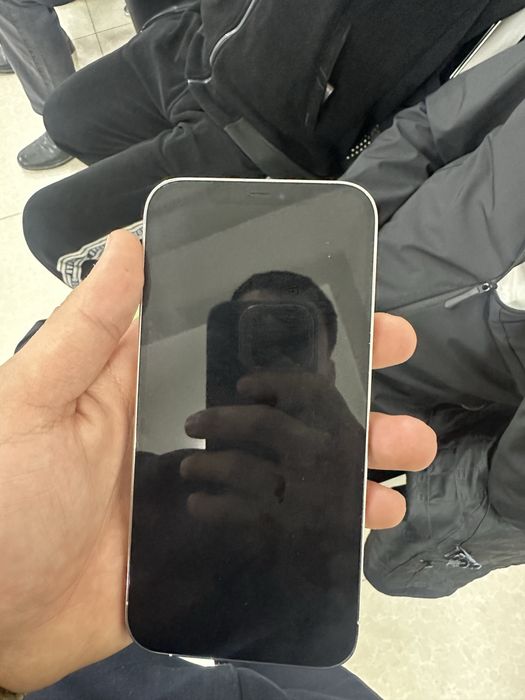 Iphone 12 pro max ideal