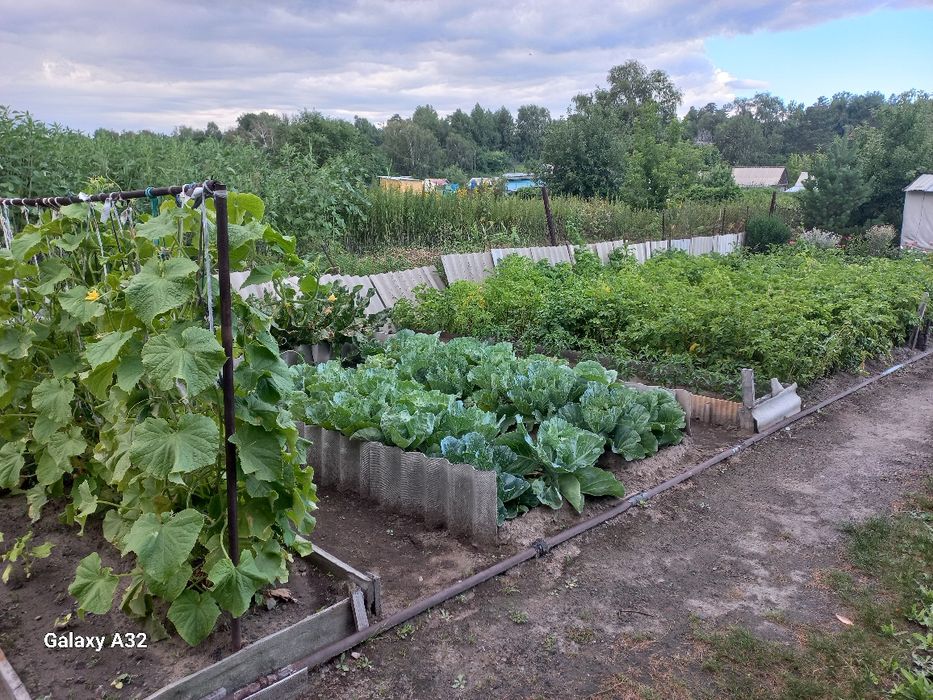 Продам дачу на Мирном