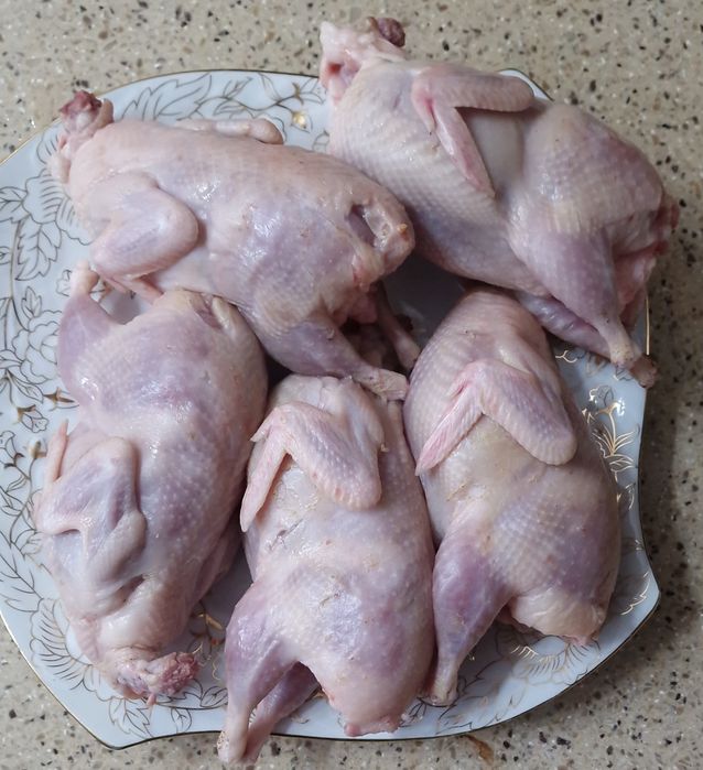 Продам мясо перепелов